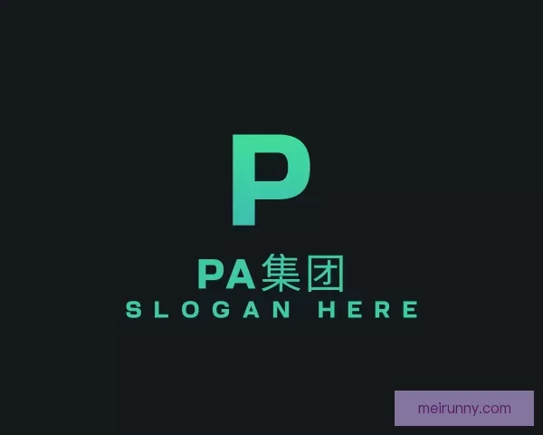 发现PA集团